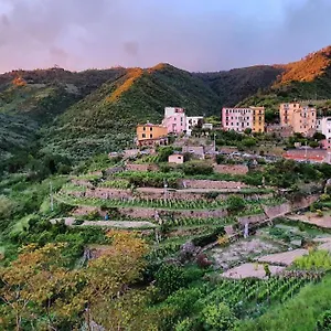 Gasthuis Arbanella Corniglia